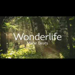 Wonderlife