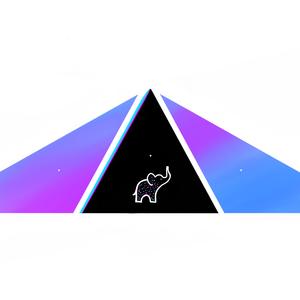 Introspection (Intro)