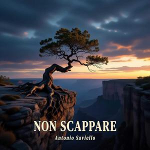 NON SCAPPARE