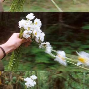 忘加七 (Prod by.AnthonyWhang)