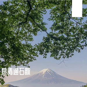 桂影落庭墉