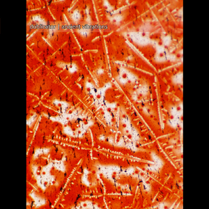 Ancient Vibrations II