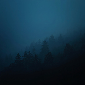 Night Drone Field