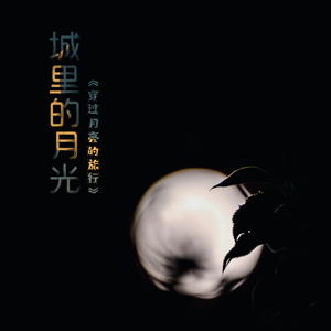 城里的月光《穿过月亮的旅行》月光守护曲