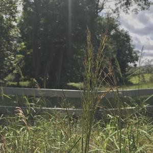 Cardinal (Demo) (Demo) (Demo)