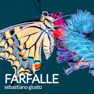 Farfalle (Cover)