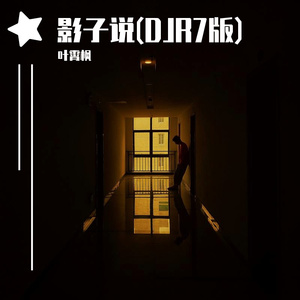 影子说(DJR7版)