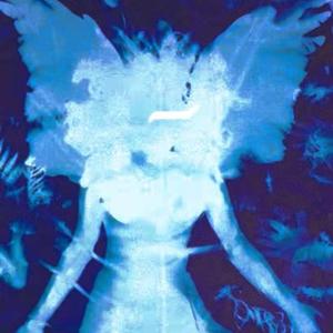 对你的爱我埋藏在冬季（feat SHIRUI）