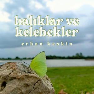 Balıklar Ve Kelebekler