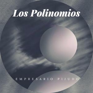 Los Polinomios