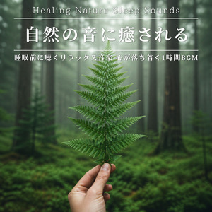 癒やしの波音 - 自律神経を整える自然音BGM