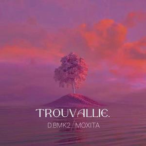 Trouvallie