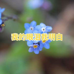 我的眼泪我明白