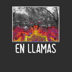 Tan Psy