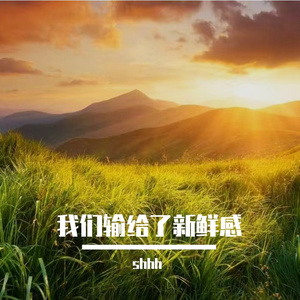 我们输给了新鲜感