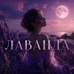 Лаванда