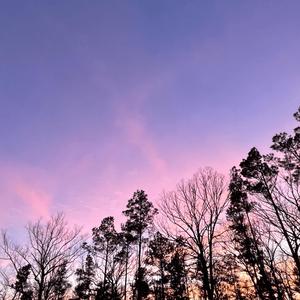 no trust (feat. yung frendi)