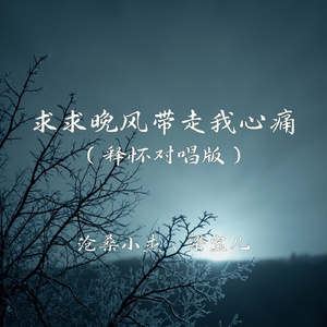 求求晚风带走我心痛(释怀对唱版)
