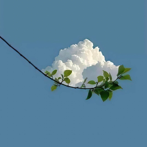 我想带你在天空翱翔dm