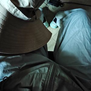 樱花树下的心跳