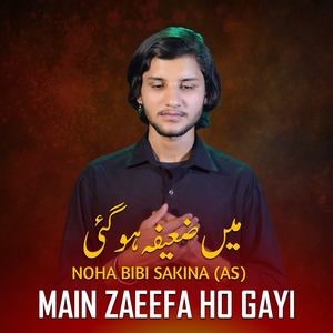 Main Zaeefa Ho Gayi Noha Bibi Sakina (As)