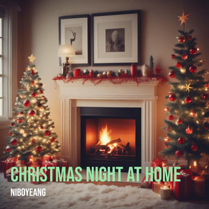 Christmas Night at Home