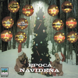 Hay Que Decorar Un Arbolito