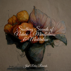 Dreamscapes in Slumber