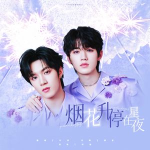 烟花升停在星夜