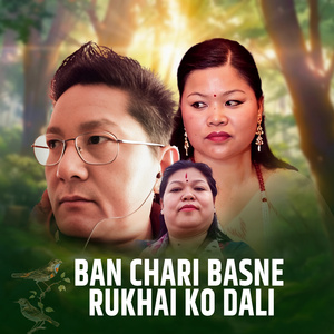 BAN CHARI BASNE RUKHAI KO DALI