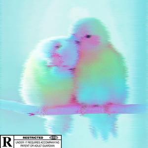 鸟儿成双对（Prod.SKITZO）