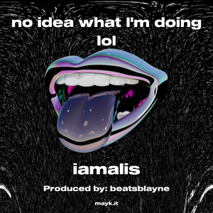 no idea what I'm doing lol