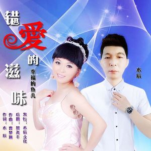 木辰，幸福的鱼儿-错爱的滋味 伴奏