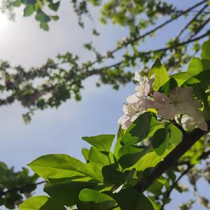 长成自己的样子mix