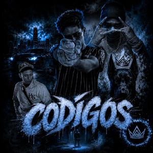 CODIGOS