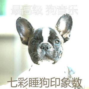 温和幼犬梦想