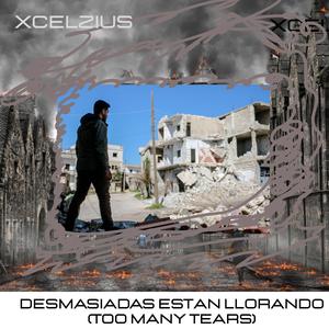 Desmasiadas estan llorando (Too Many Tears)
