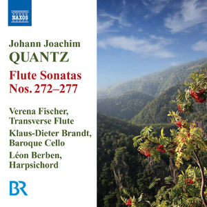 Flute Sonata No. 273 in G Major, QV 1:109:I. Presto ma fiero