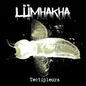 Nasci, Cresci, Scavati La Fossa