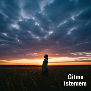 Gitme İstemem