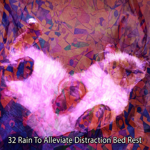 暴风雨前的平静