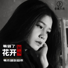 等到了花开等不到你回来