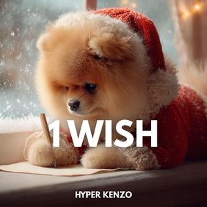 1 Wish (Techno Version)