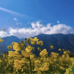 不挥手的再见.wav