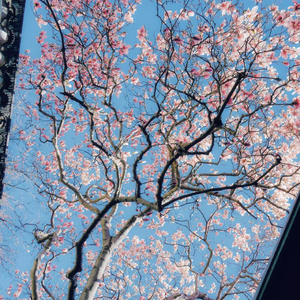 在你的身边（翻自 罗金伟）