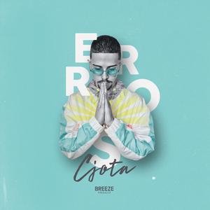 Erros