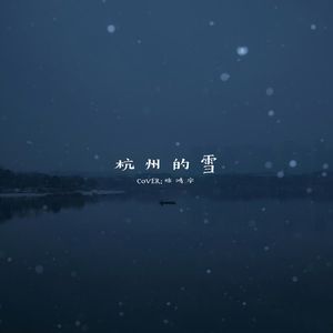 杭州的雪