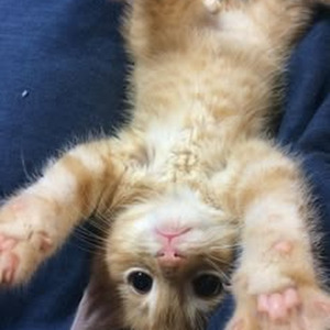 Banger Machine (sped up)