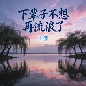 下辈子不想再流浪了