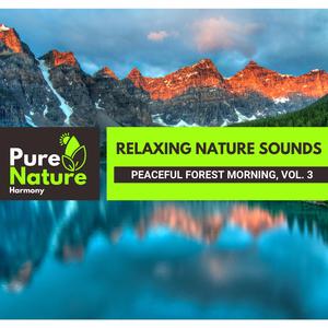 Occasional Soft Wind